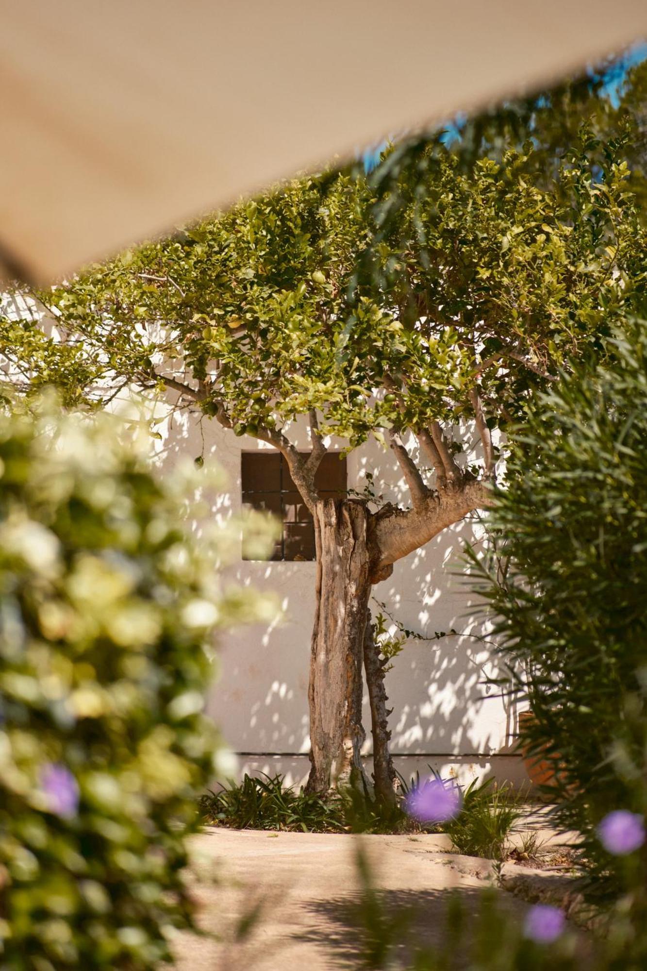 The Guardian House Hotel Santa Gertrudis  Exterior photo